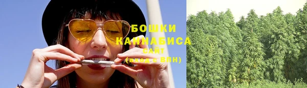 гидропоника Гусь-Хрустальный