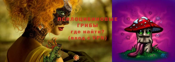 дживик Горнозаводск
