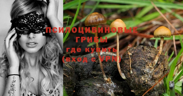 ECSTASY Гусиноозёрск