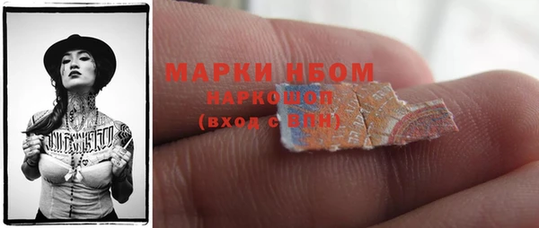 ГАЛЛЮЦИНОГЕННЫЕ ГРИБЫ Гусев