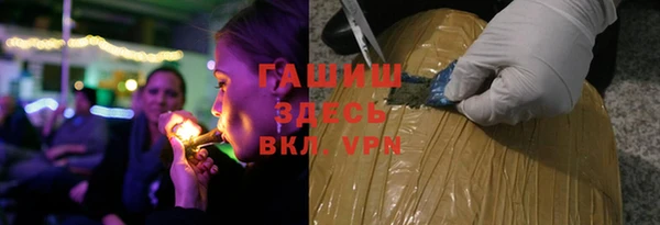 ГАЛЛЮЦИНОГЕННЫЕ ГРИБЫ Гусев