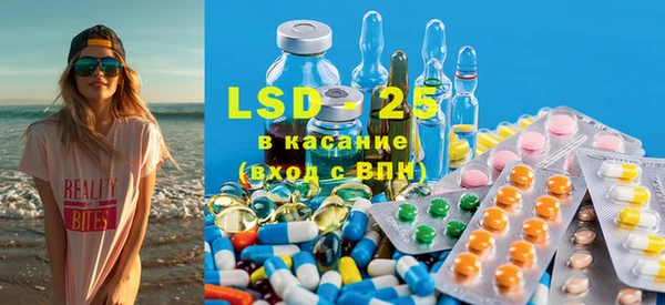 ГАЛЛЮЦИНОГЕННЫЕ ГРИБЫ Гусев