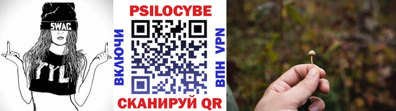 Галлюциногенные грибы прущие грибы как найти наркотики blacksprut как войти Вельск